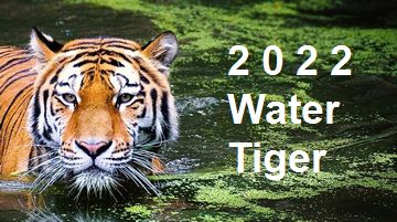 Tiger horoscope 2022