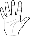 Chinese Palm Reading - Yin Hand